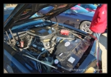 Pontiac Trans-AM 79-3